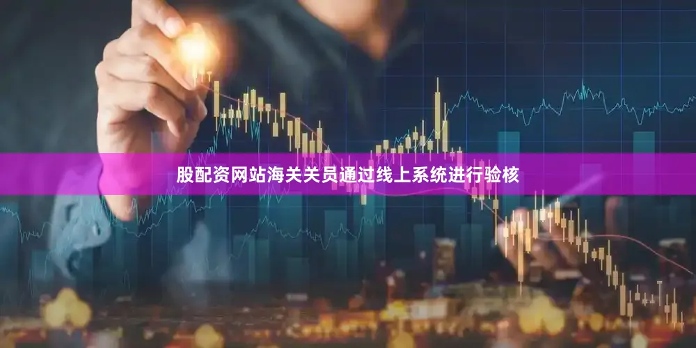 股配资网站海关关员通过线上系统进行验核