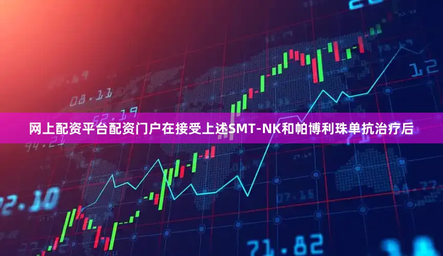 网上配资平台配资门户在接受上述SMT-NK和帕博利珠单抗治疗后